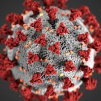 HMPV: The Respiratory Virus You Need to Know